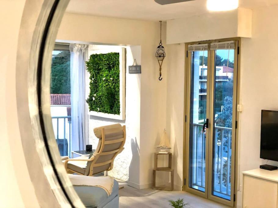 Le Brusc. Design, Parking, Wifi & Double Vue! Διαμέρισμα Six-Fours-les-Plages Εξωτερικό φωτογραφία